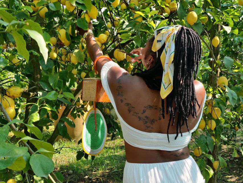 Discover, Harvest & Taste Sorrento Lemons - Ideal Participants for This Experience