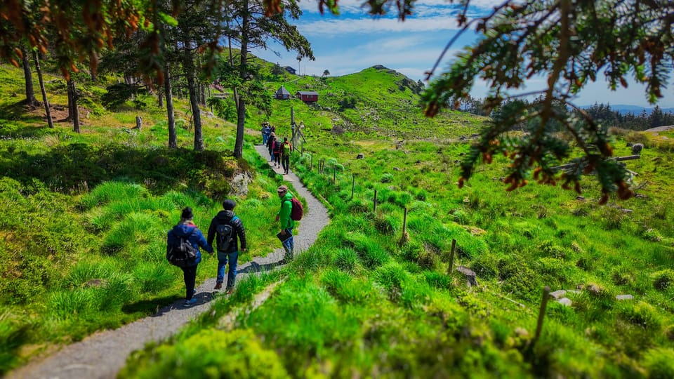 Discover Haugesund and visit a local mountain farmer - Key Points