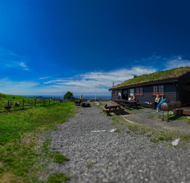 Discover Haugesund and visit a local mountain farmer - A Detailed Look at the Haugesund Mountain Farm Tour