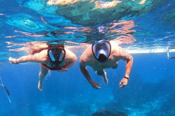 Discover Isla Contoy & Isla Mujeres with Transfer from Cancun & Riviera Maya - Who Is This Tour Best For?