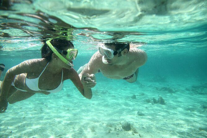 Discover Isla Mujeres: Catamaran, Snorkeling, and "Ice Bar" - Who Should Consider This Tour?