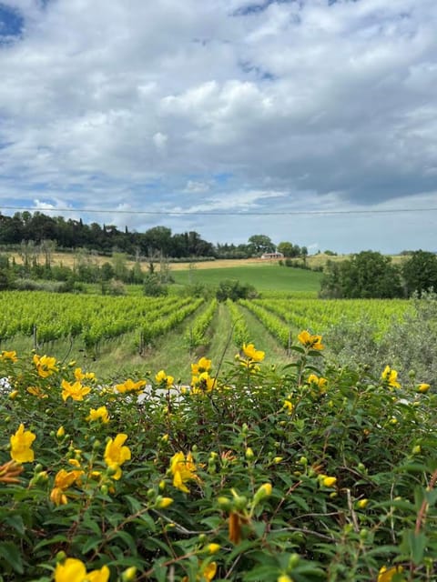 Discover Italian Wines: Exclusive Tasting at Tenuta La Viola - Booking Details