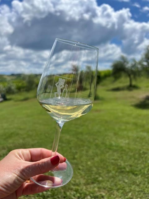 Discover Italian Wines: Exclusive Tasting at Tenuta La Viola - Discovering the Historic Cellar and Production Methods