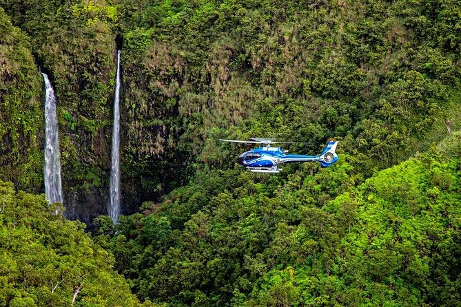 Discover Kauai Helicopter Tour From Princeville - Inclusions and Accessibility Details