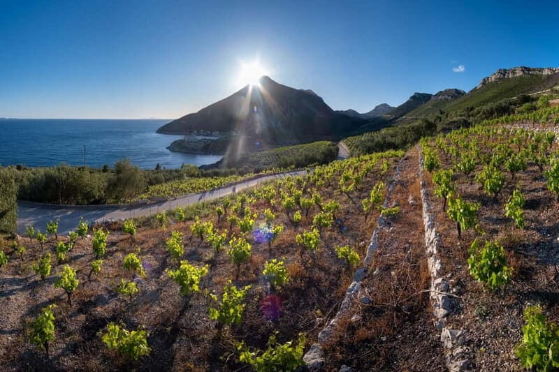 Discover Korula and Ston: A Full-Day Tour in Small Groups - FAQ