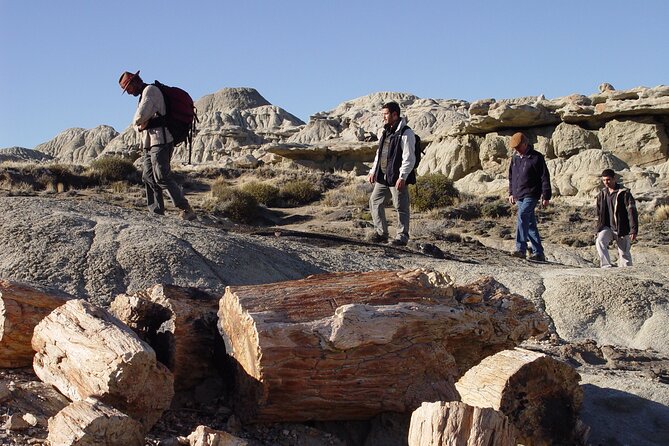 Discover La Leona Petrified Forest: Guided Hiking Tour - Booking Information