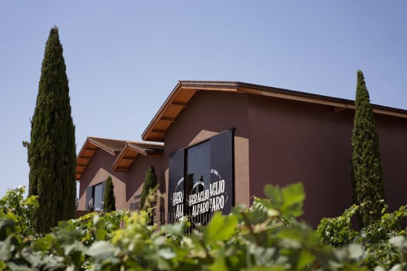 Discover La Rioja: Guided Winery Tour & Wine Tasting - Discover La Rioja: Guided Winery Tour & Wine Tasting