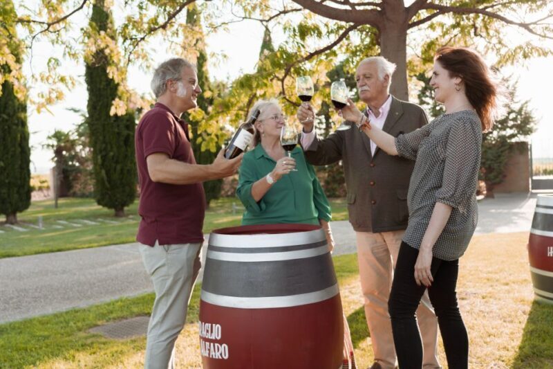 Discover La Rioja: Guided Winery Tour & Wine Tasting - Key Points