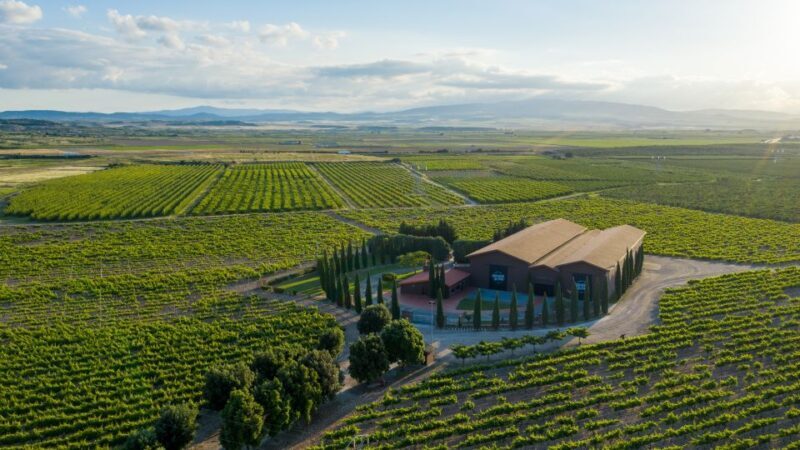 Discover La Rioja: Guided Winery Tour & Wine Tasting - The Value of Locally Made Wines