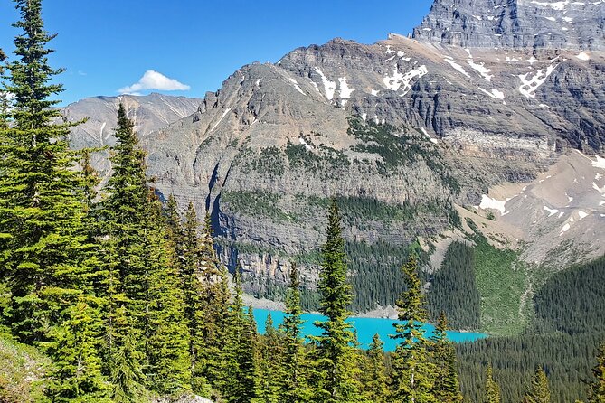 Discover Lake Louise & Moraine Lake : Day Trips From Calgary - Highlights of the Tour