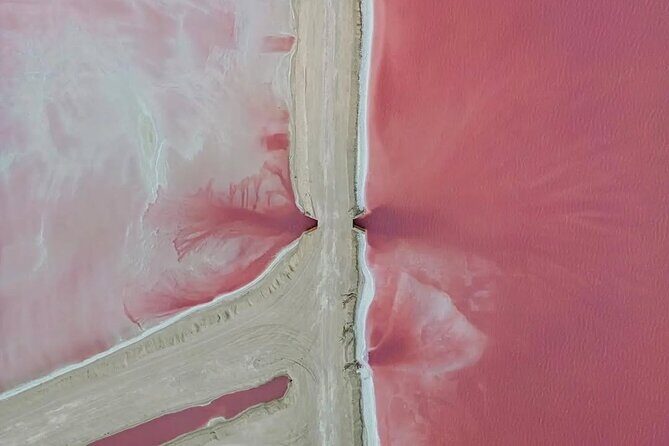 Discover Las Coloradas History on Deluxe Guided tour - What Travelers Say