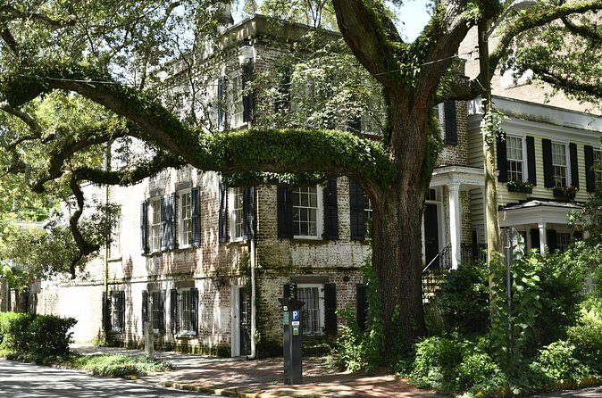Discover Lesser Known Stories on the Hidden Savannah Walking Tour - A Closer Look at the Tour Itinerary