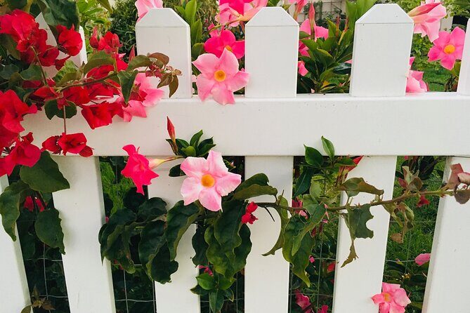 Discover Lush Gardens, Trees & Neighborhoods: Private - Exploring Santa Monica’s Hidden Gems: A Detailed Review