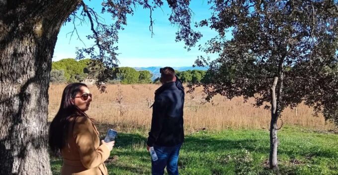 Discover Madrid’s Best: Exclusive Wine Tour & Tastings Await - Customer Testimonials