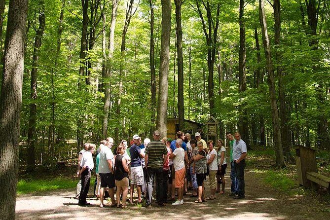 Discover Maple Sugar Bush Tour - Exploring the Discover Maple Sugar Bush Tour in Detail