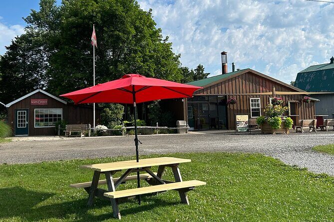 Discover Maple Sugar Bush Tour - Who Would Love This Tour?