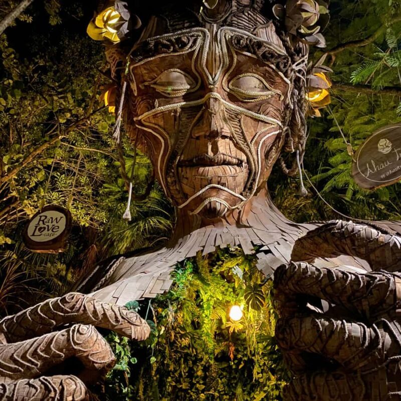 Discover Mayan Magic: Tulum, Coba, Cenote & Playa del Carmen - Who Should Consider This Tour?