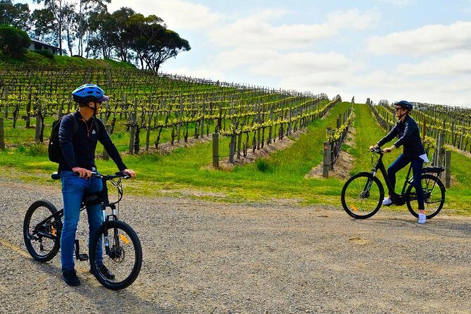 Discover McLaren Vale on eBikes - Full Day - An In-Depth Look at the Experience
