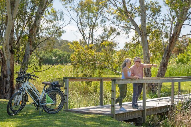 Discover McLaren Vale on eBikes - Full Day - The Sum Up