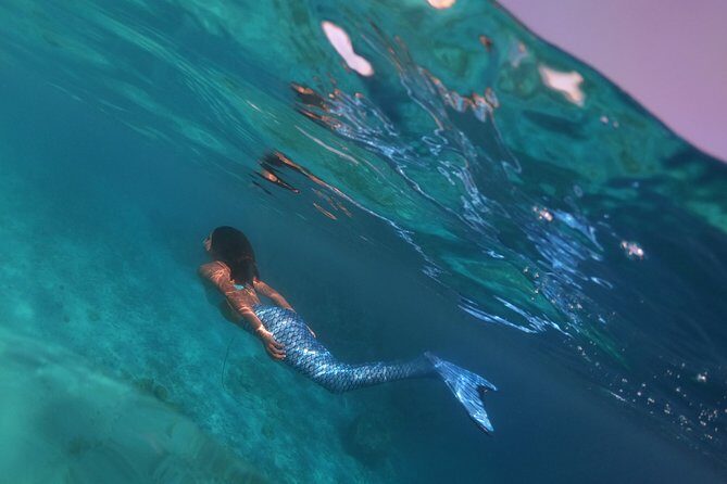 Discover Mermaid - What Is the Discover Mermaid Tour All About?