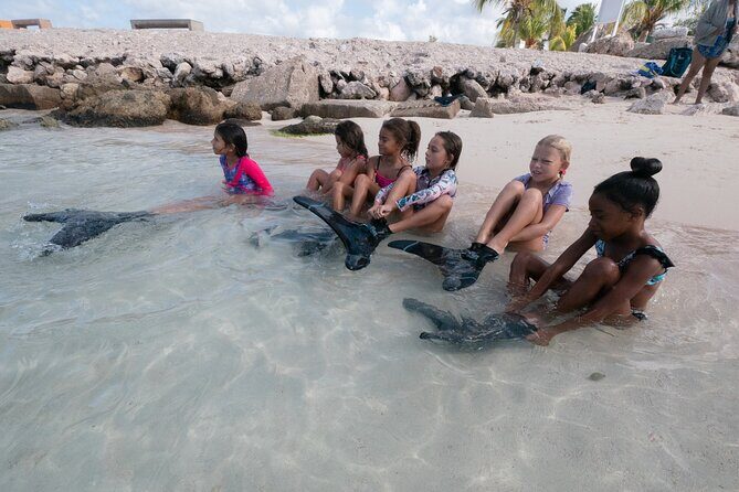 Discover Mermaid - Authentic Experiences and Genuine Value