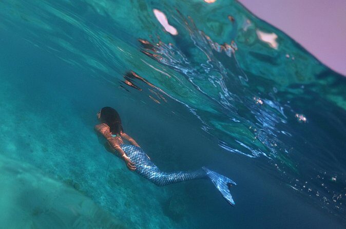 Discover Mermaid - FAQ