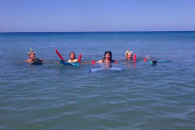 Discover Mermaid Experience in Rincón - An In-Depth Look at the Discover Mermaid Experience in Rincón