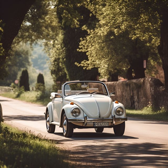 Discover Modena and Its Province in a 1974 Beetle - Booking and Reservation Details
