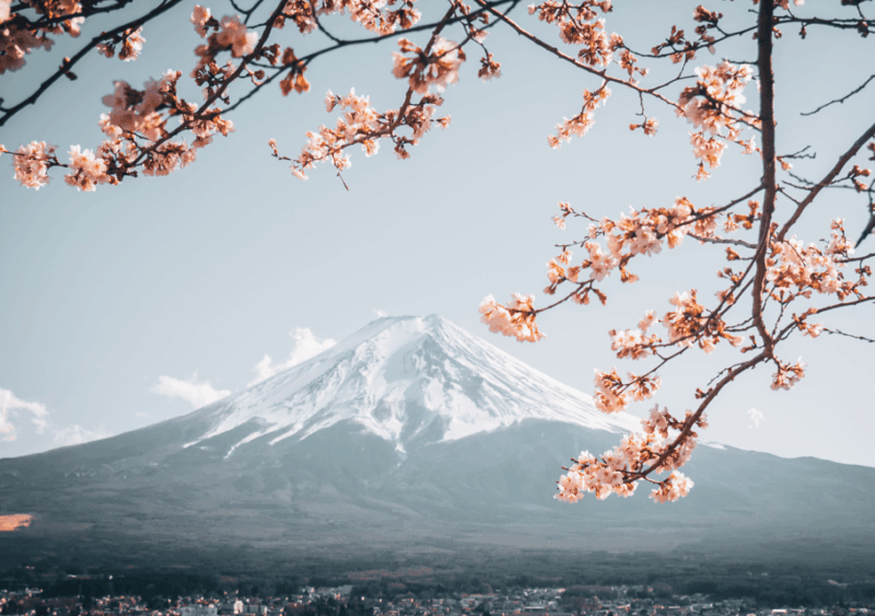 Discover Mount Fuji: Private Car/Van Day Tour From Tokyo - Transportation Details