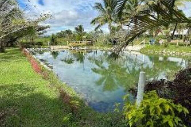 Discover Mud pool/Hot -Spring Nadi - Who Would Enjoy This Tour?