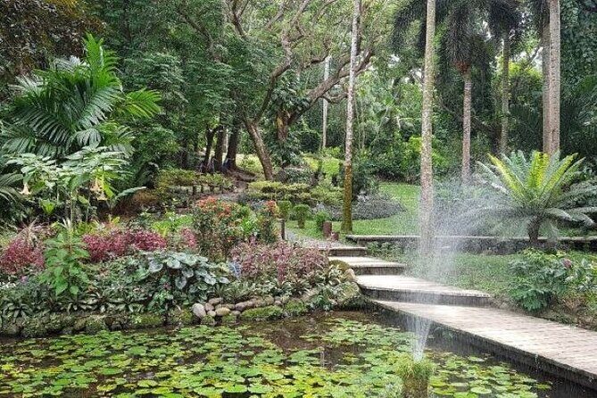 Discover Mud pool/Hot -Spring Nadi - The Sum Up