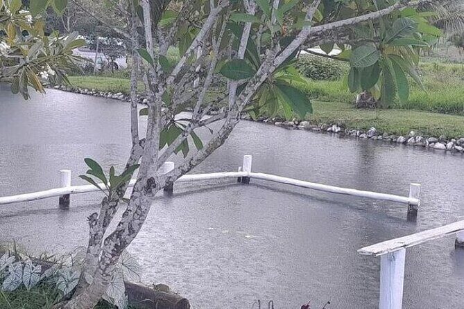 Discover Mud pool/Hot -Spring Nadi - FAQ