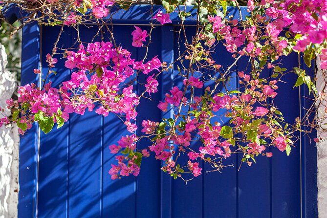 Discover Mykonos in 4 Hours Beaches Villages and Town - Unpacking the Mykonos 4-Hour Tour: Beaches, Villages, and Iconic Sights  