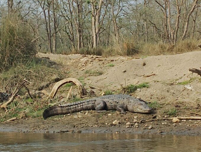 Discover Nepal Tour Package (9 Nights /10 Days) - Tips for a Great Experience