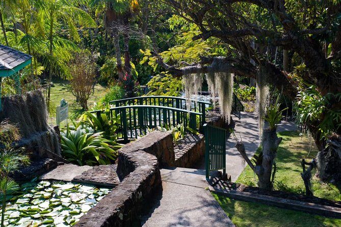 Discover Nevis, Island Tour (Private) - The Sum Up