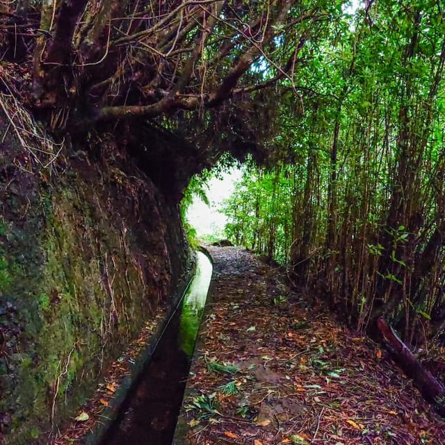 Discover one of our island's levadas in a relaxing way? - The Guide and Logistics