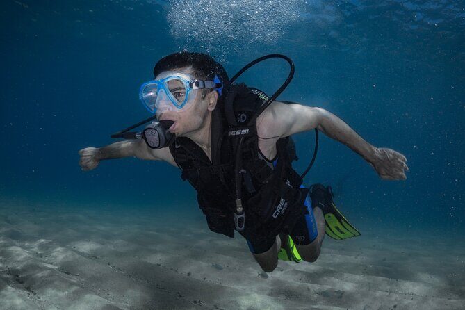 Discover PADI Diving in Barcelona - Key Points