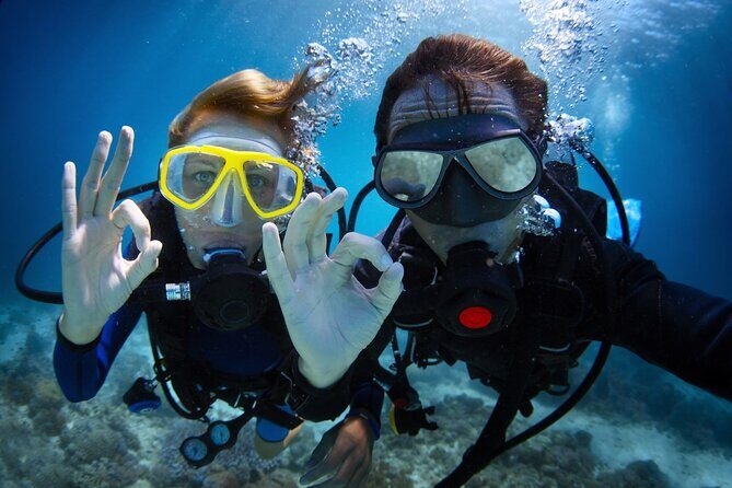Discover PADI Diving in Barcelona - A Closer Look at the Tour Experience