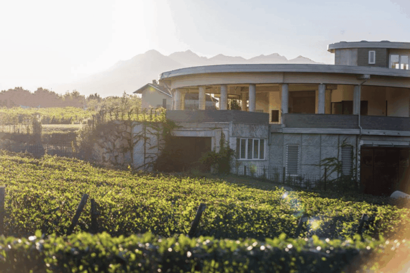 Discover Piedmont: Unique Wine Tasting - Location and Setting