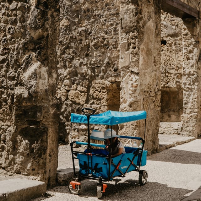 Discover Pompeii: French Walking Tour of the Buried City - Highlights of the Guided Tour