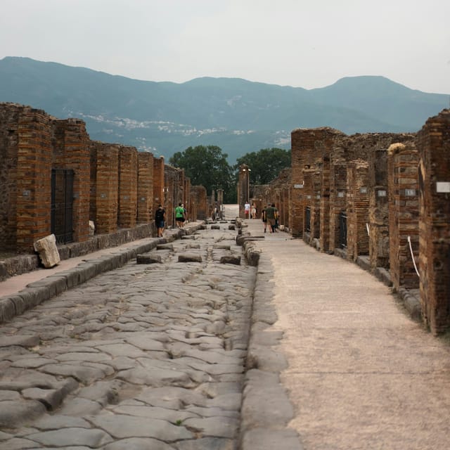 Discover Pompeii: French Walking Tour of the Buried City - Experiencing the Tragedy of Vesuvius