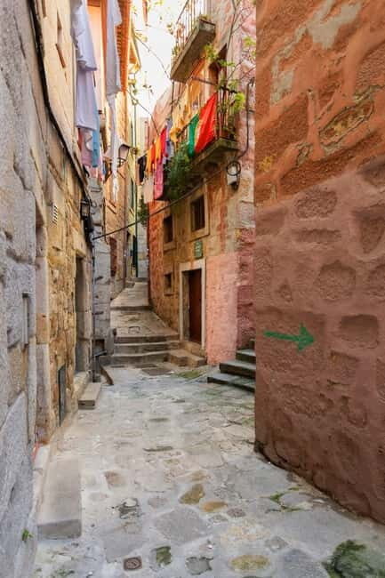Discover Porto's Historical Roots Walking Tour - Pricing and Value