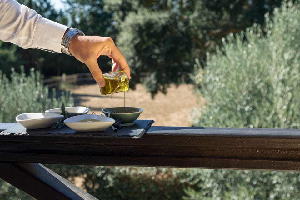 Discover Portugal's Flavors: Wine & Olive Oil Tasting - An Authentic Taste of Portugal in Arrábida