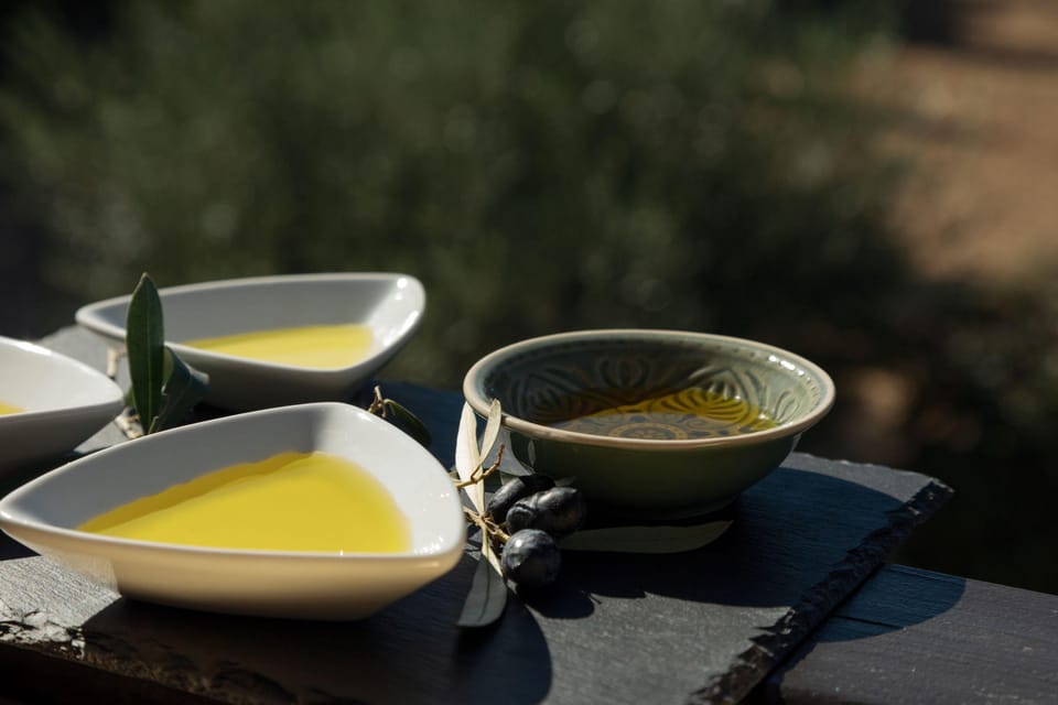 Discover Portugal's Flavors: Wine & Olive Oil Tasting - What to Expect During the Tour
