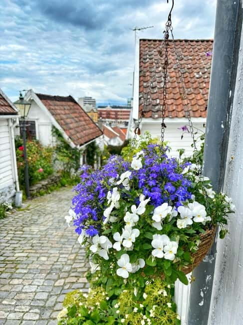 Discover Private+ Stavanger Guided City Tour - An Introduction to the Stavanger Private Guided Tour