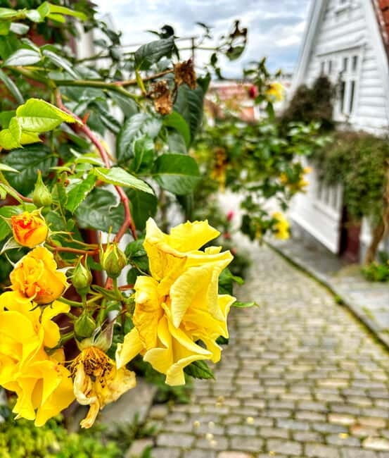 Discover Private+ Stavanger Guided City Tour - The Itinerary in Detail