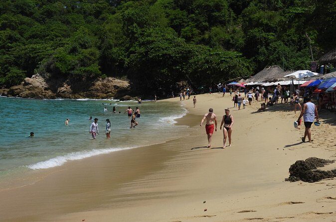 Discover Puerto Escondido One Day Trip Shuttle Coastal Transfer - FAQ