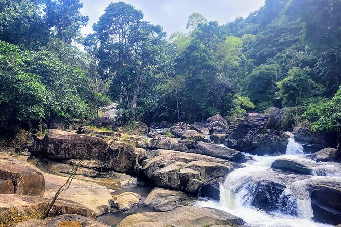 Discover Puerto Rico by 5 Different Thematic Routes - Flexibility and Customization