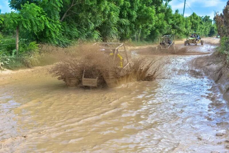 Discover Punta Cana: Buggy Tour, El Macao Beach, Blue Cenote - Who Will This Tour Suit Best?