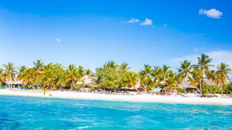 Discover Punta Cana: Full-Day Saona Island All Included - Return Journey and Evening Entertainment